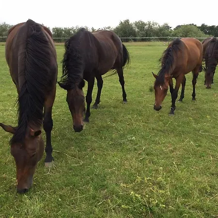 Alter Bahnhof Otersen דירה Kirchlinteln