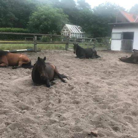 דירה Alter Bahnhof Otersen *