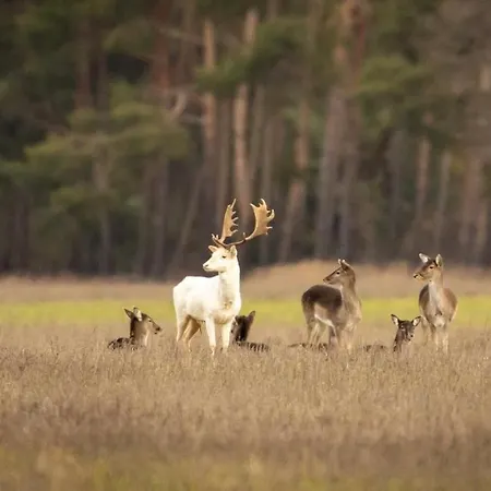 Alter Bahnhof Otersen * Kirchlinteln
