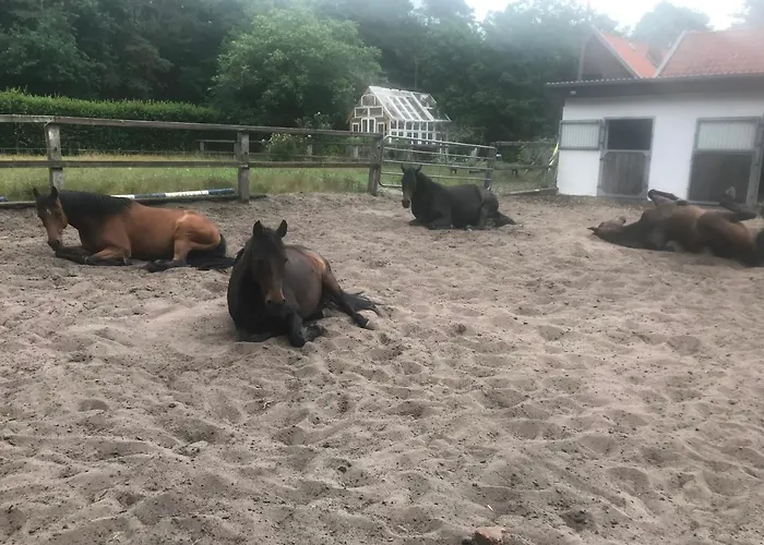 شقة Alter Bahnhof Otersen *